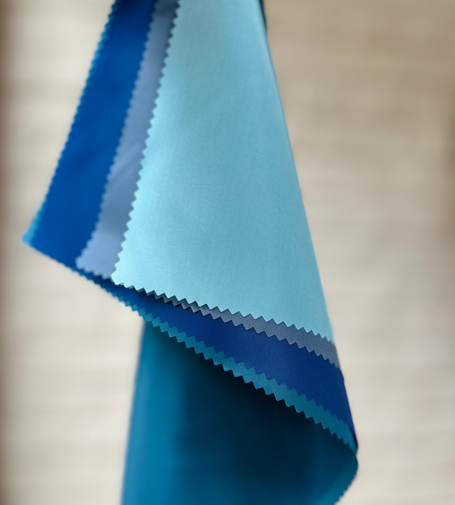 Kleur op Punt bij ’t Wolhuis